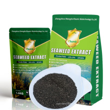 Best quality gibberellic acid water soluble seaweed extract flake powder